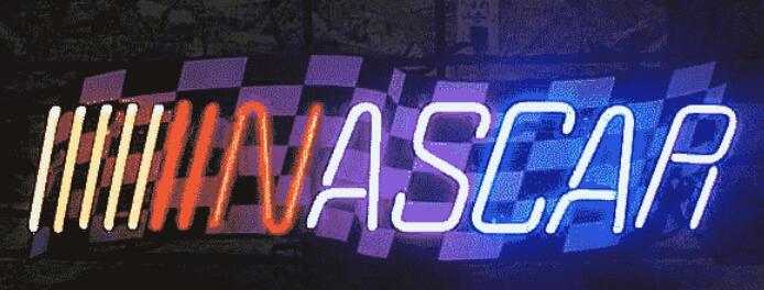 Nascar Neon Beer Sign x